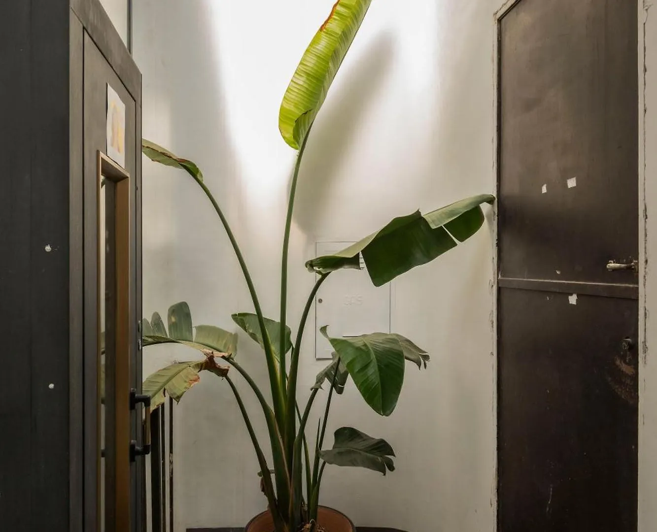 Monti Zen Penthouse-Zeno57 Apartment Rome 0*,